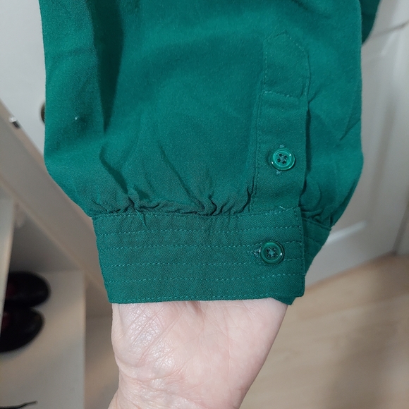 Sundance Evergreen Pleated Bi-level Hem L/S Blouse - Picture 4 of 5